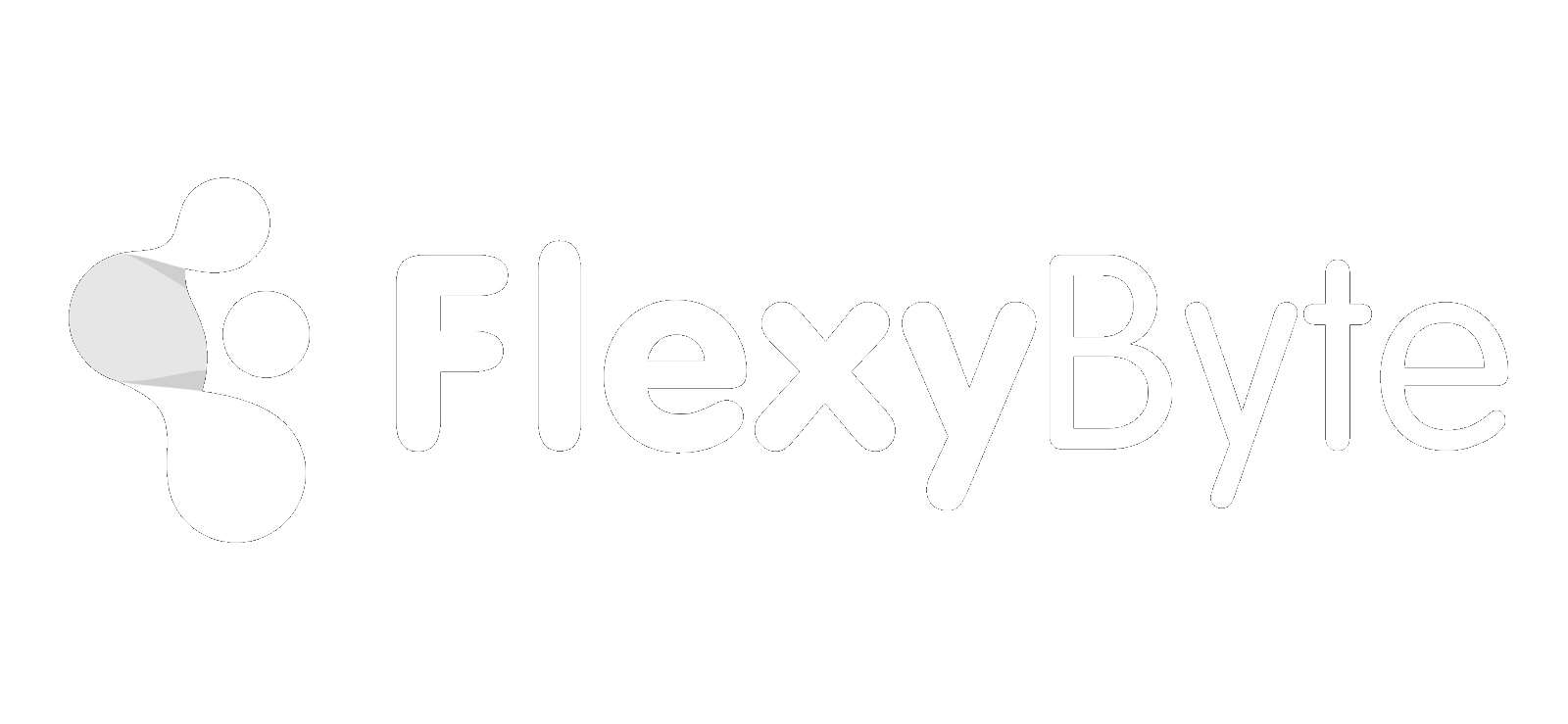 flexybyte